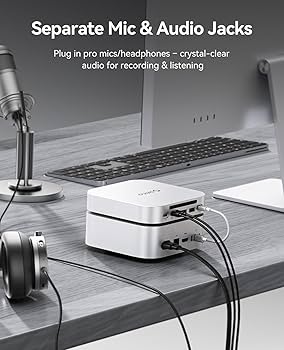 Amazon.com: ORICO MiniLink Mac mini M4 Hub with SATA SSD